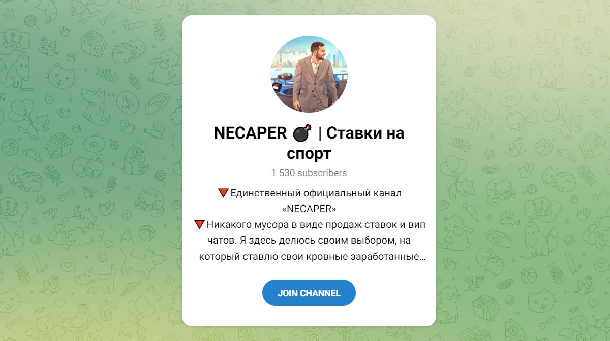 Обзор канала Telegram NECAPER | Ставки на спорт – реальные отзывы об Илье