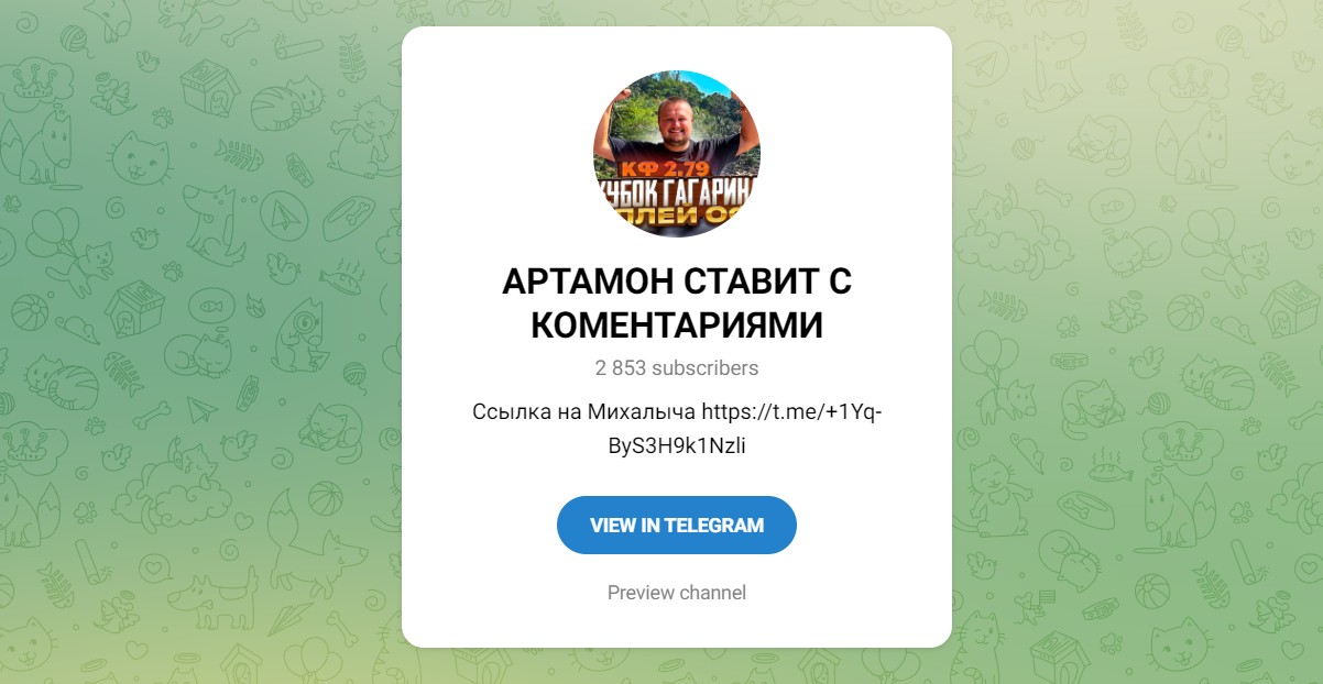 Обзор каналов Telegram Артоном и Михалыч ставит – реальные отзывы