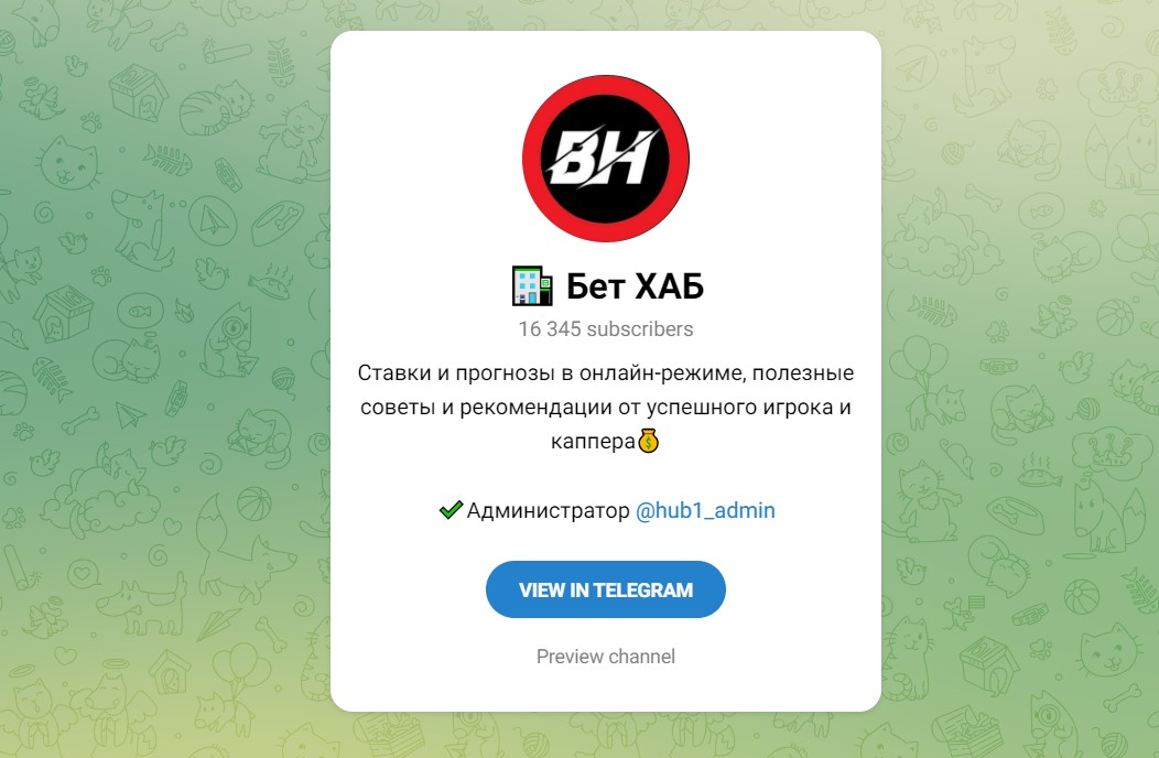 Обзор канала Telegram Бет ХАБ – реальные отзывы людей о Денисе Борисове