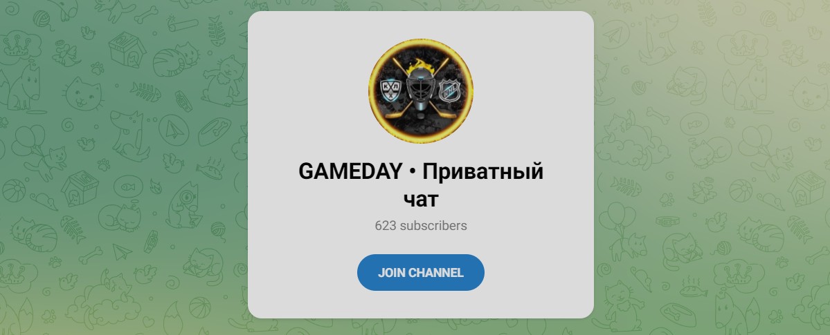 Внешний вид телеграм канала GAMEDAY • Приватный чат