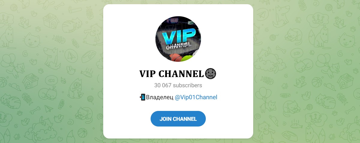 Внешний вид телеграм канала VIP Channel
