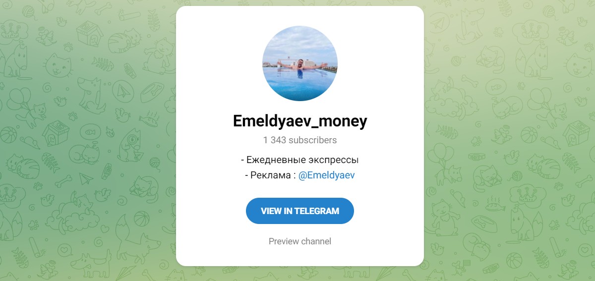 Внешний вид телеграм канала Emeldyaev_money