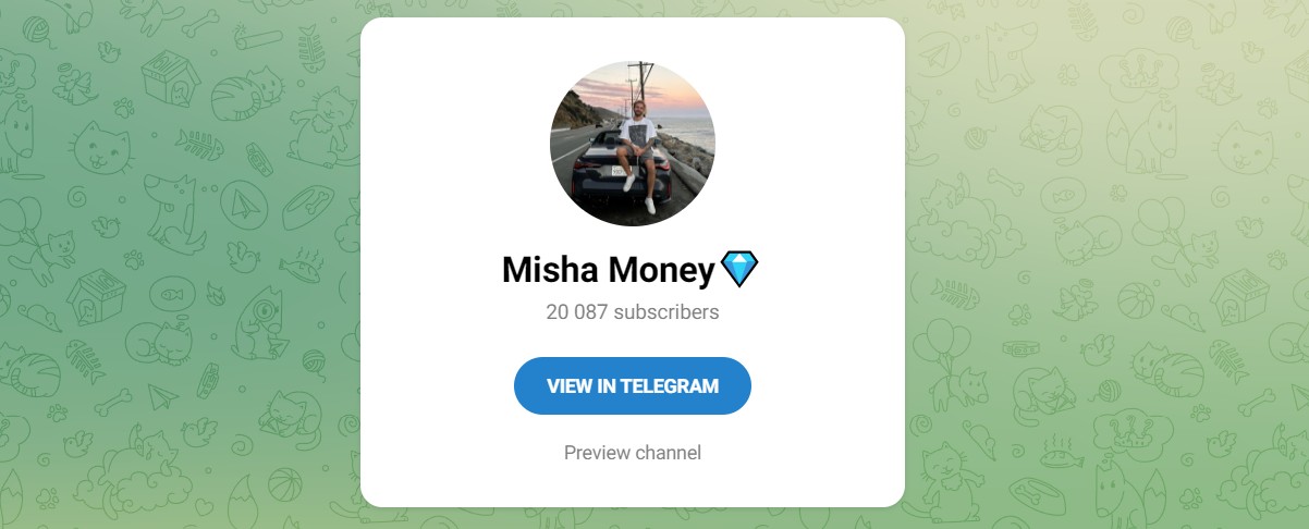 Внешний вид телеграм канала Misha Money