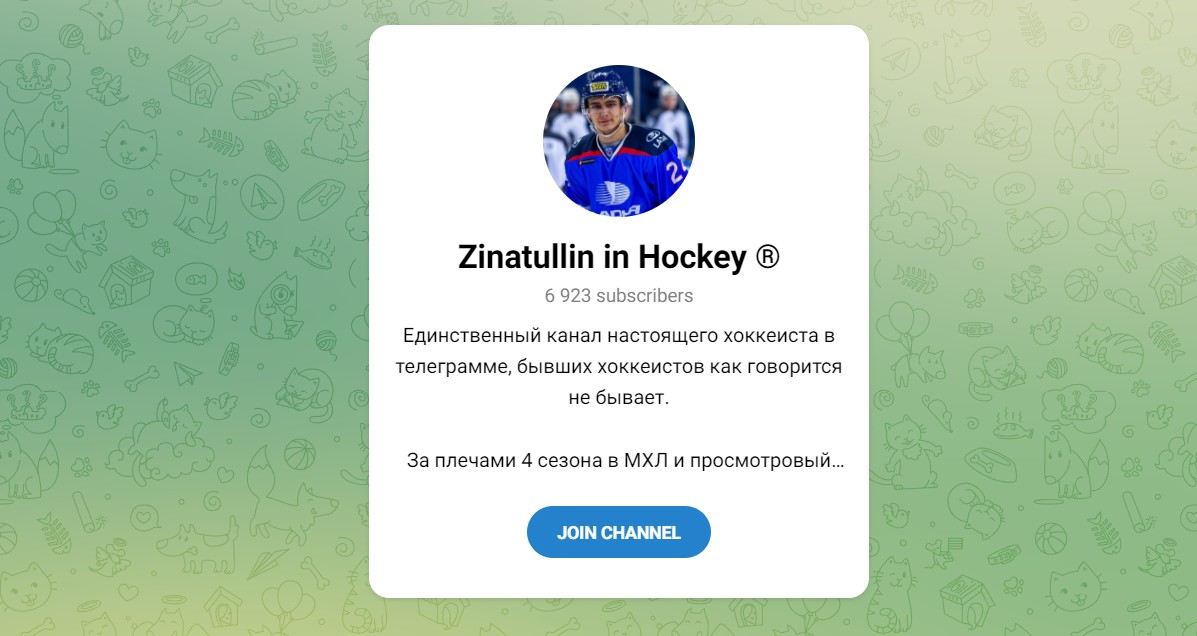 Внешний вид телеграм канала Zinatullin in Hockey
