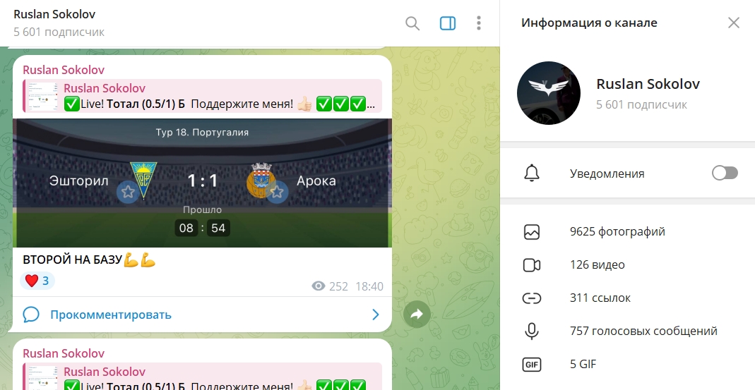 Информация о канале в телеграмме Ruslan Sokolov