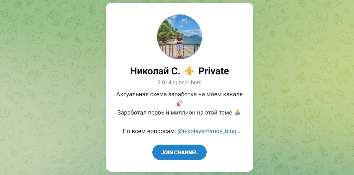 Внешний вид телеграм канала Николай С. Private
