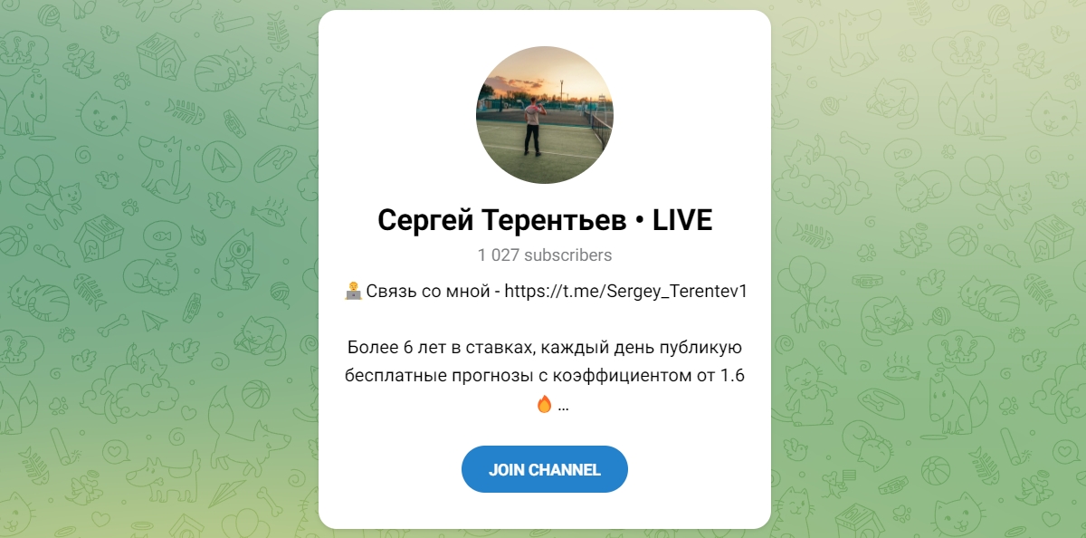 Внешний вид телеграм канала Сергей Терентьев LIVE