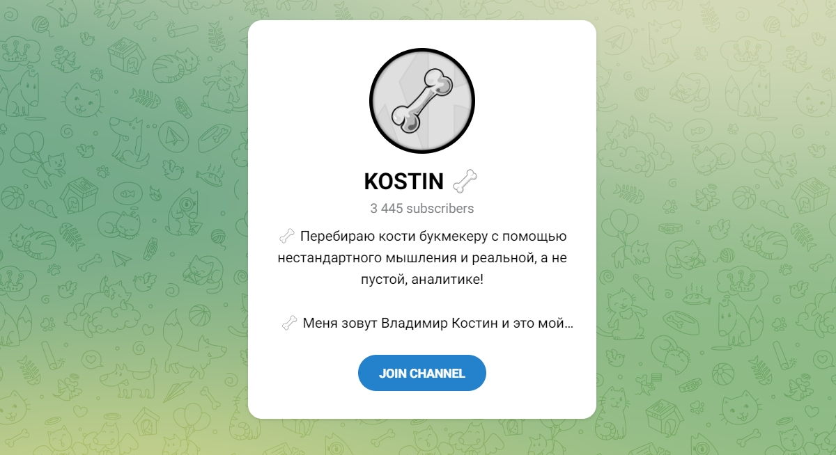 Внешний вид телеграм канала KOSTIN