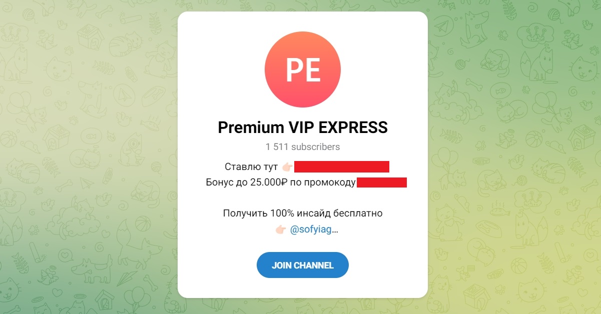 Внешний вид телеграм канала Premiun VIP EXPRESS