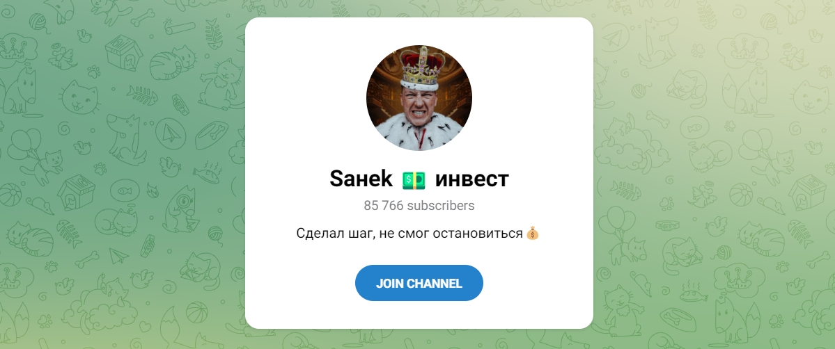 Внешний вид телеграм канала Sанеk инвест