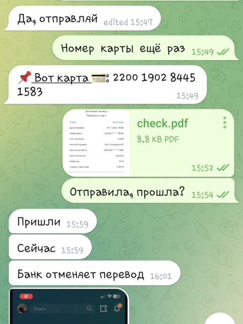 Screenshot_20241117-115533_Telegram-Beta