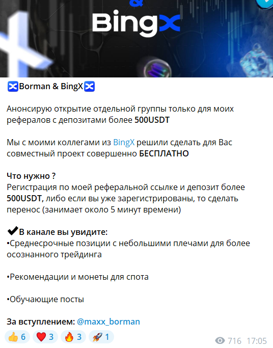 Сведения по закрытой группе Максима Бормана