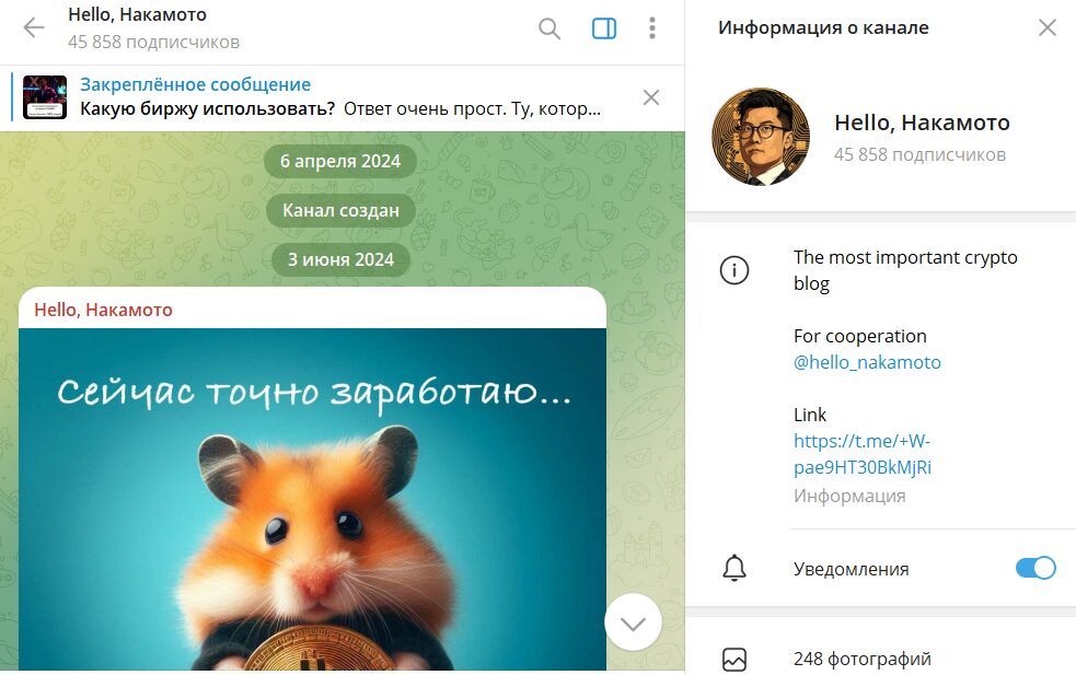 Что известно о проекте в телеграмме Hello, Накамото