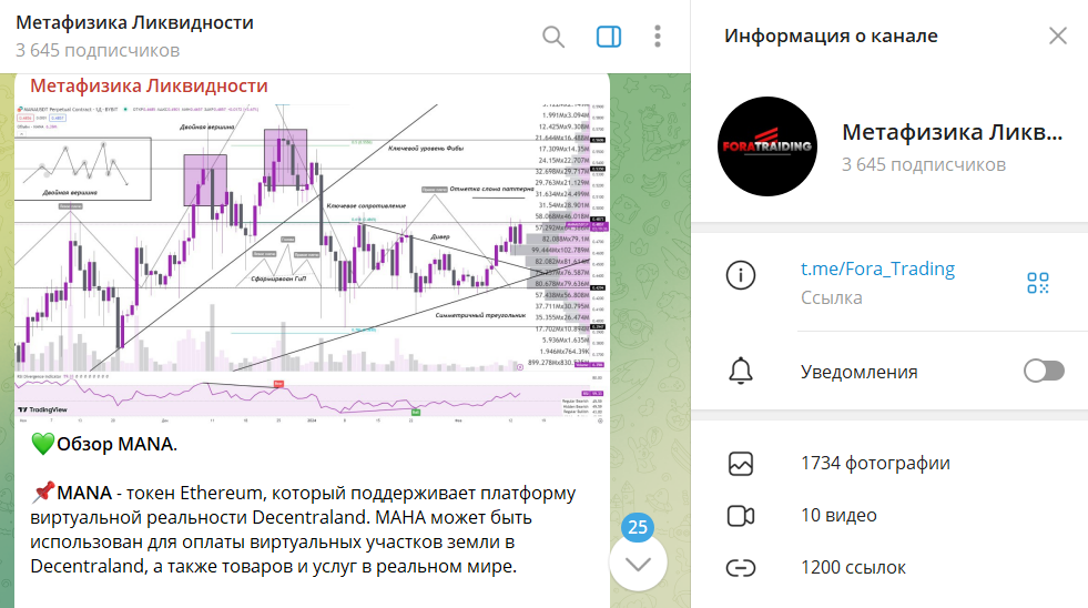 Что известно о канале в телеграмме Метафизика Ликвидности