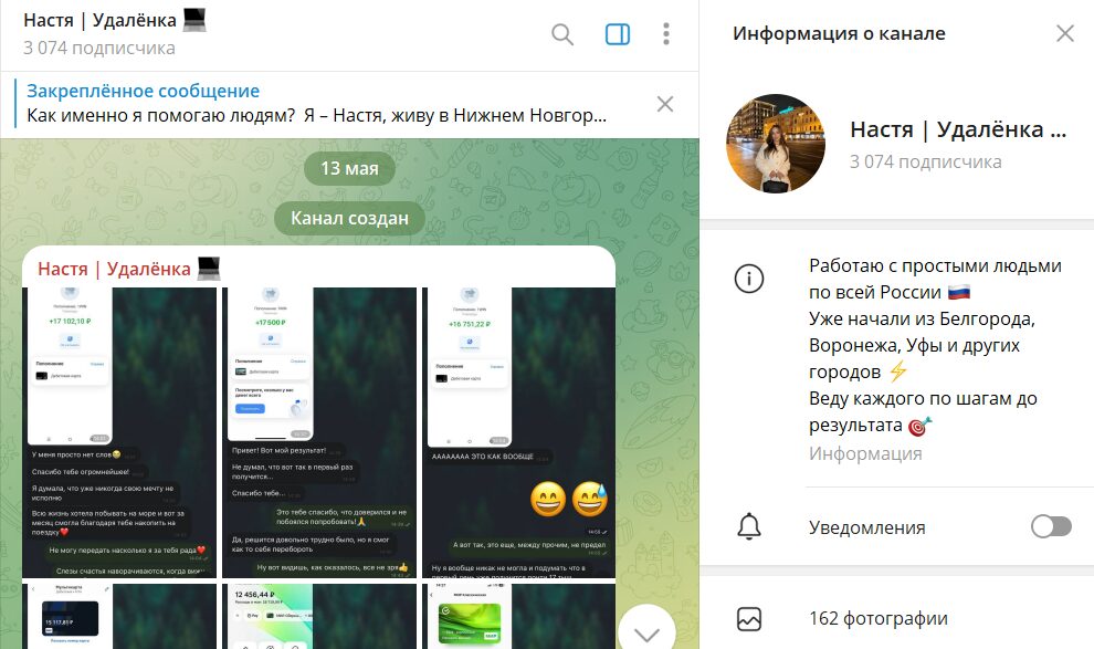 Вводные сведения по проекту в телеграме Настя Удаленка