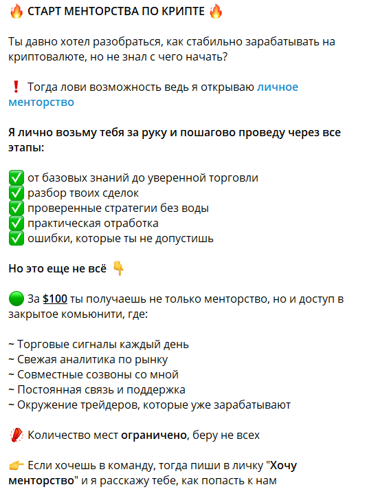 Личное менторство на канале ТГ Крипто слон