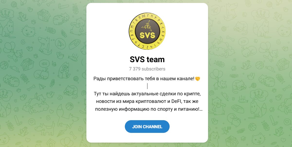 Внешний вид телеграм канала SVS team Внешний вид телеграм канала SVS team