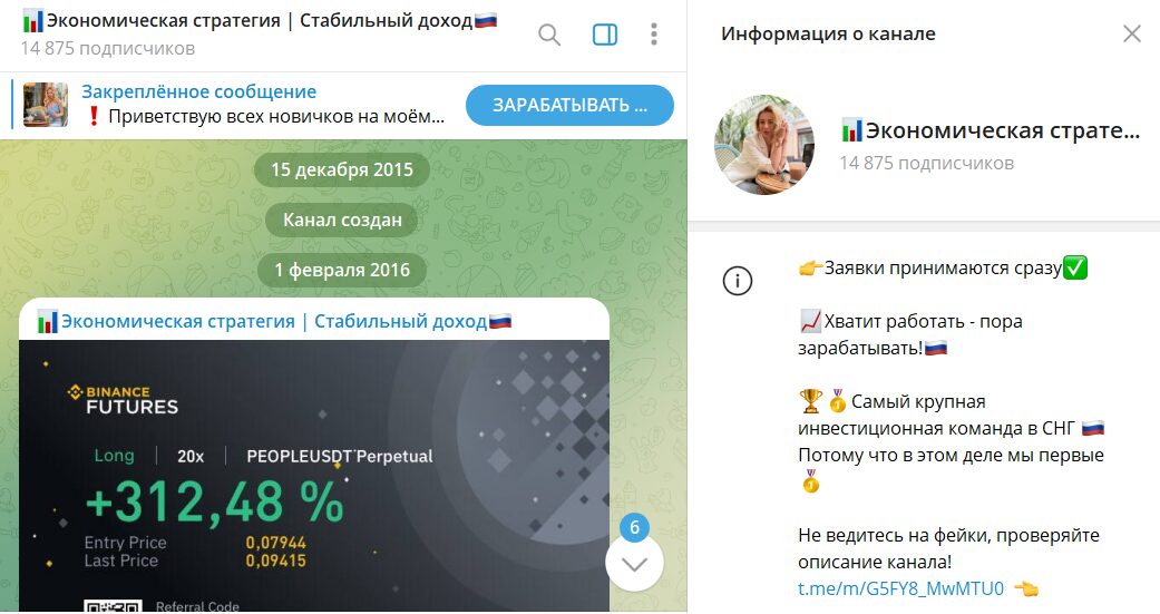 Вводные сведения по проекту Экономическая стратегия от Натальи