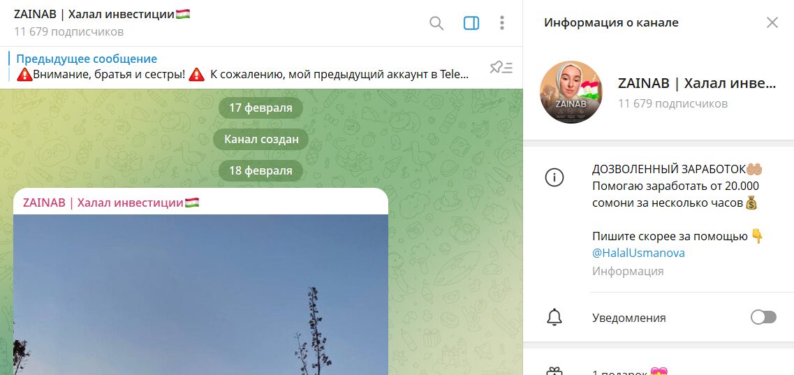 Данные по каналу в телеграмме ZAINAB Халал инвестиции