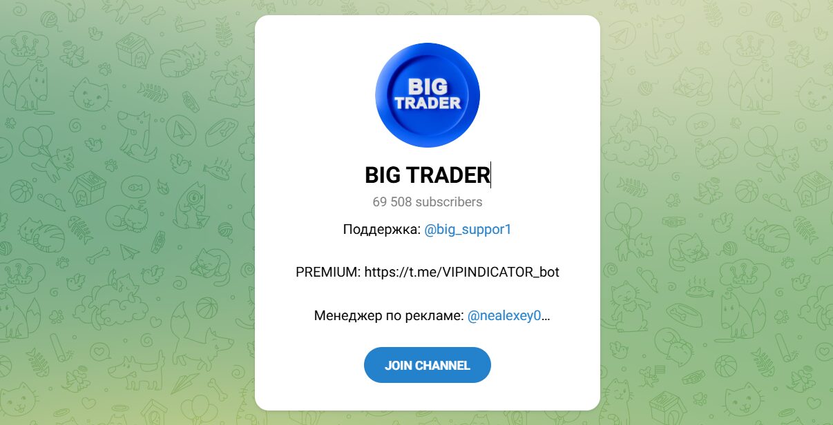 Внешний вид телеграм канала BIG TRADER Внешний вид телеграм канала BIG TRADER