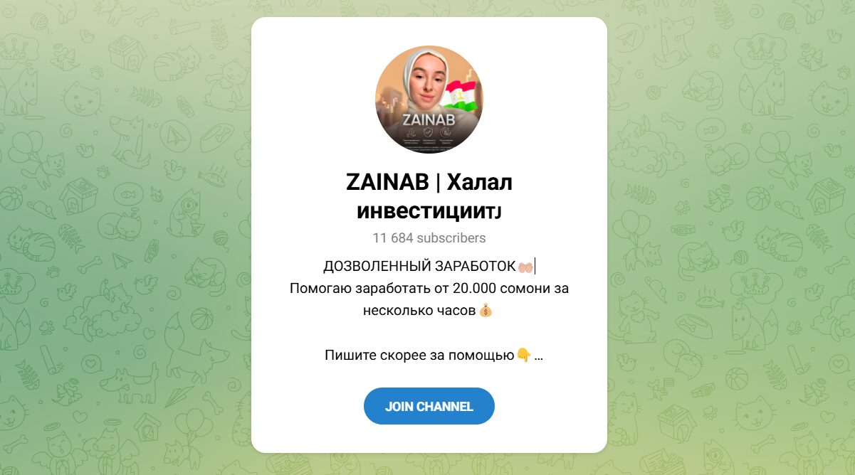 Внешний вид телеграм канала ZAINAB Халал инвестиции Внешний вид телеграм канала ZAINAB Халал инвестиции