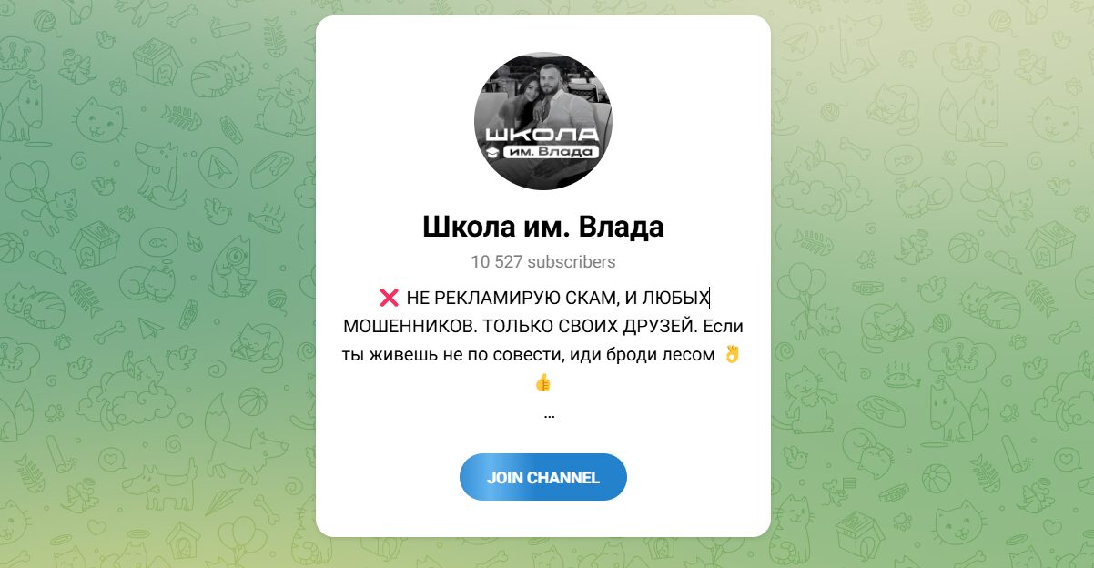 Внешний вид телеграм канала Школа им. Влада