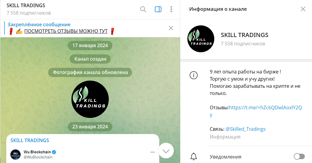 Дата создания канала в телеграмме SKILL TRADINGS