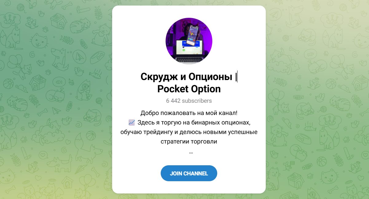 Внешний вид телеграм канала Скрудж и опционы Внешний вид телеграм канала Скрудж и опционы