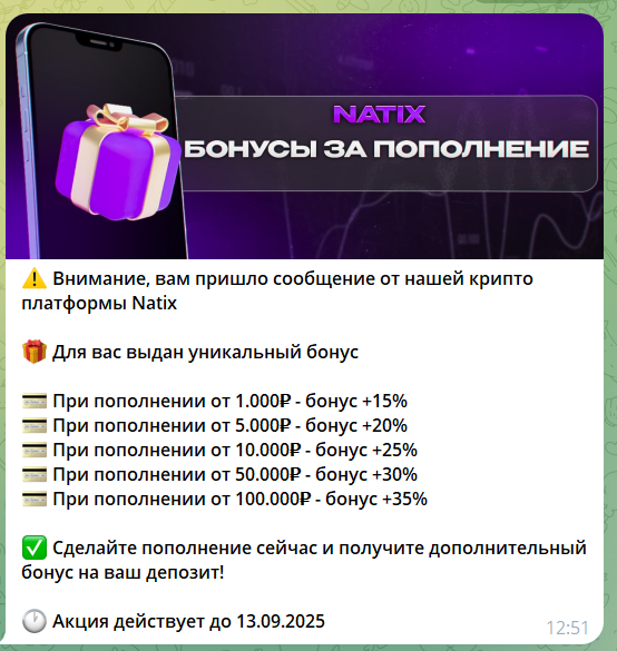 Бонусы в боте телеграм NATIX Робот
