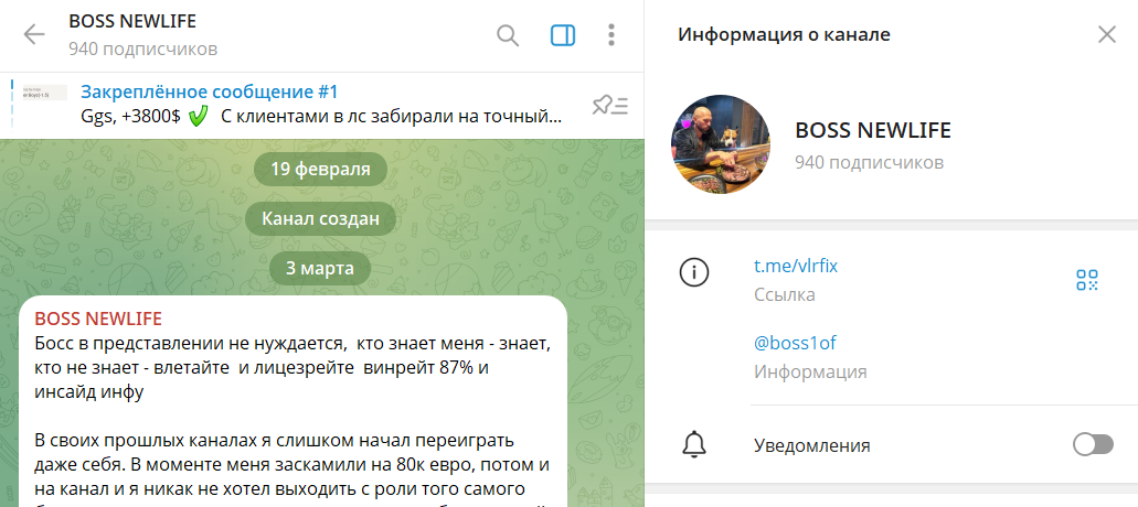Информация по каналу в телеграмме BOSS NEWLIFE