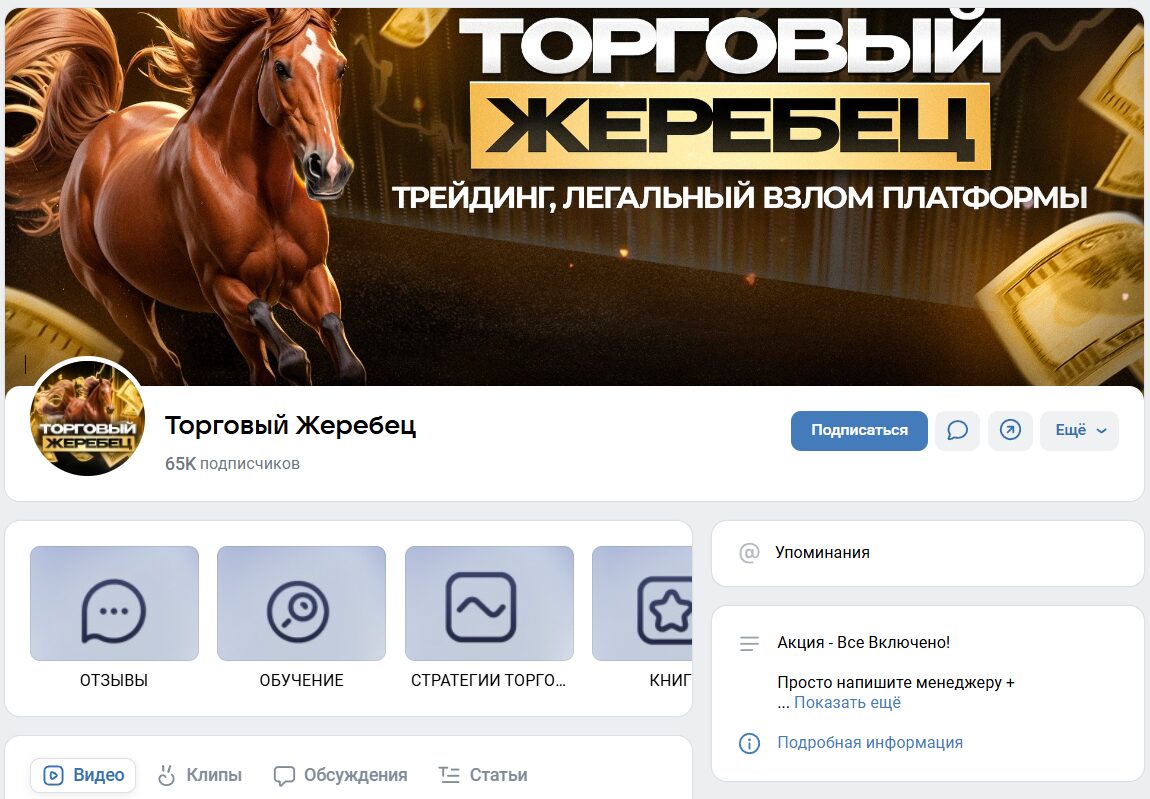 Обзор группы ВК Торговый жеребец
