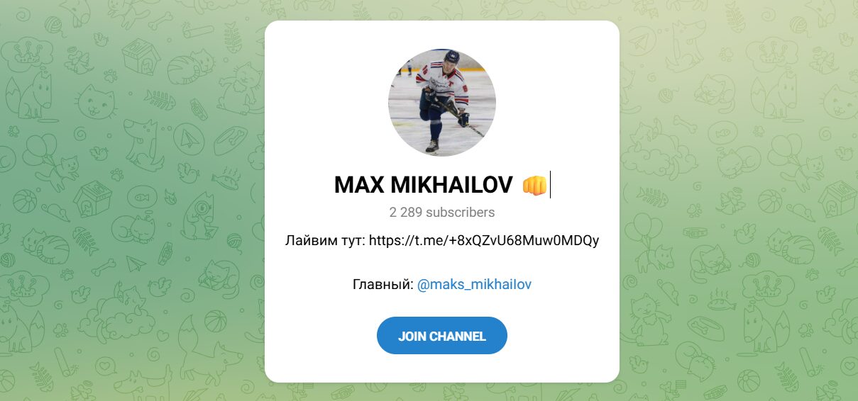 Внешний вид телеграм канала MAX MIKHAILOV Внешний вид телеграм канала MAX MIKHAILOV