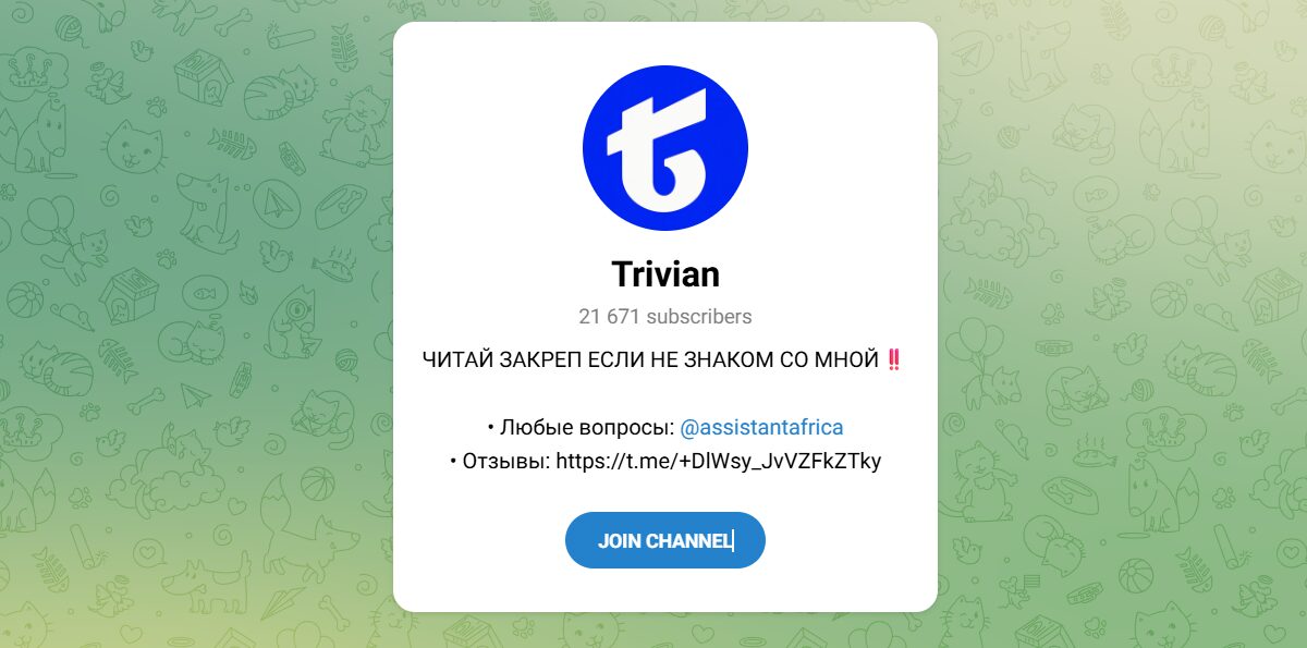 Внешний вид телеграм канала Trivian Внешний вид телеграм канала Trivian