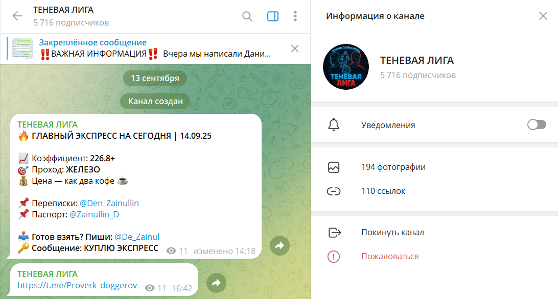 Вводные сведения по каналу в телеграмме Теневая лига