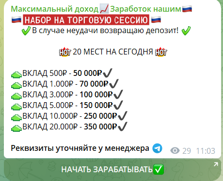 Инвестиции на канале ТГ Натальи Максимальный доход