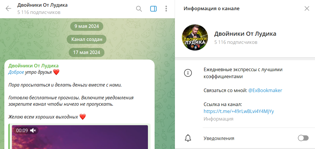 Информация по каналу в телеграмме Двойники от Лудика