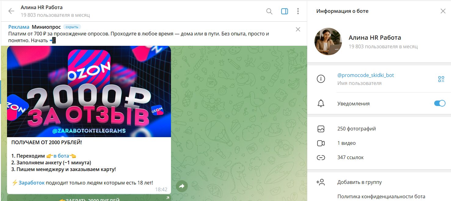 Обзор телеграм-бота Алина HR Работа @promocode_skidki_bot