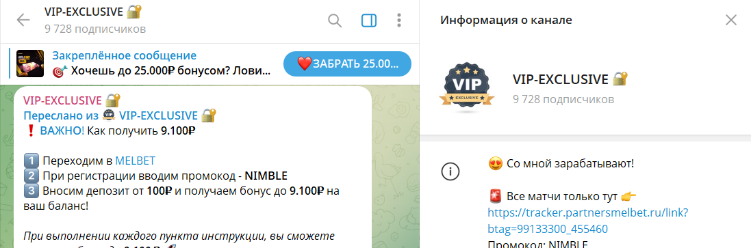 Описание канала в телеграме VIP-EXCLUSIVE со ставками