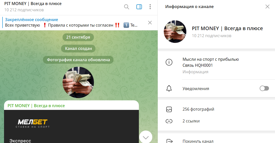 Описание канала Telegram PIT MONEY Всегда в плюсе со ставками
