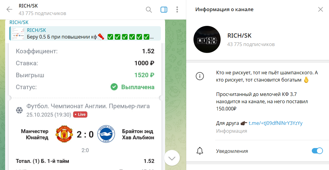 Описание проекта в телеграмме RICH SK со ставками