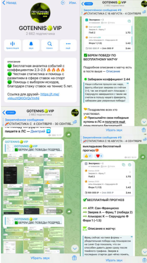 Описание ставок с канала в телеграме GOTENNIS.VIP