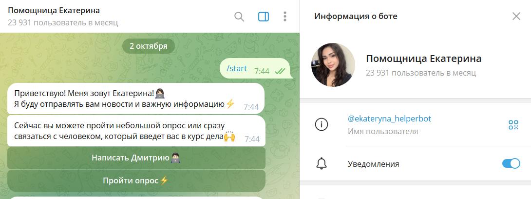 Описание телеграм-бота Помощница Екатерина @ekateryna_helperbot