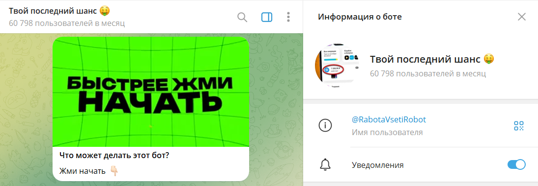 Описание телеграм бота Твой последний шанс