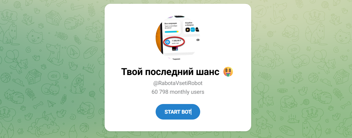 Внешний вид телеграм бота Твой последний шанс Внешний вид телеграм бота Твой последний шанс