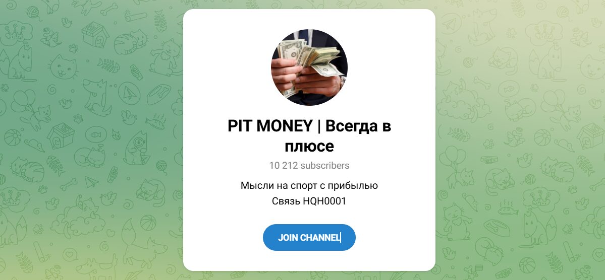 Внешний вид телеграм канала PIT MONEY Всегда в плюсе Внешний вид телеграм канала PIT MONEY Всегда в плюсе