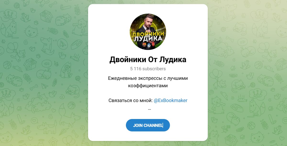 Внешний вид телеграм канала Двойники от Лудика Внешний вид телеграм канала Двойники от Лудика