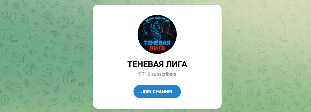 Внешний вид телеграм канала Теневая Лига Внешний вид телеграм канала Теневая Лига