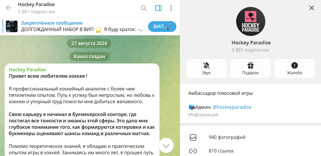 Вводные данные по проекту-телеграм Hockey Paradise со ставками