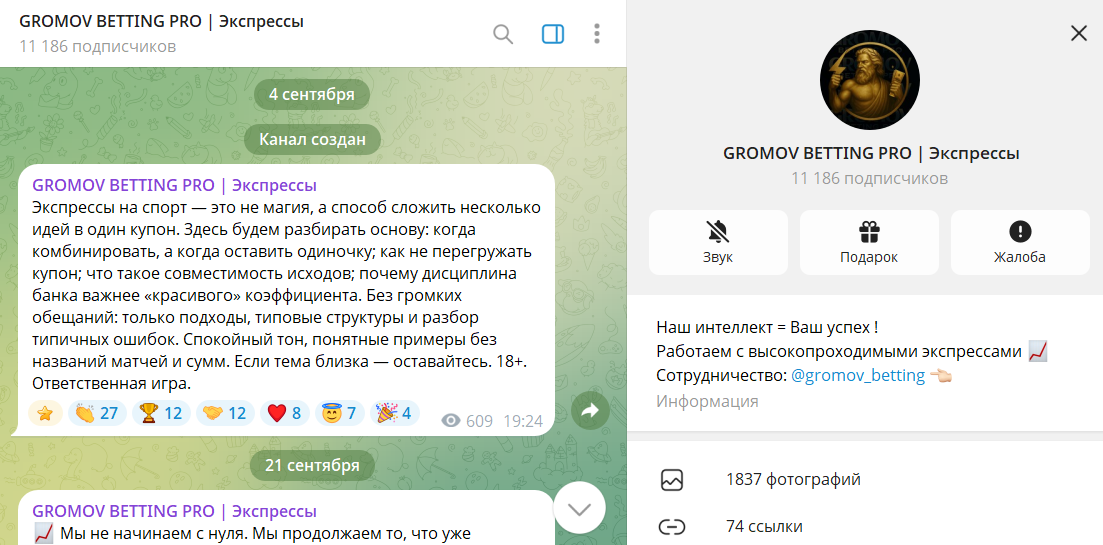 Информация по телеграм-преокту GROMOV BETTING PRO