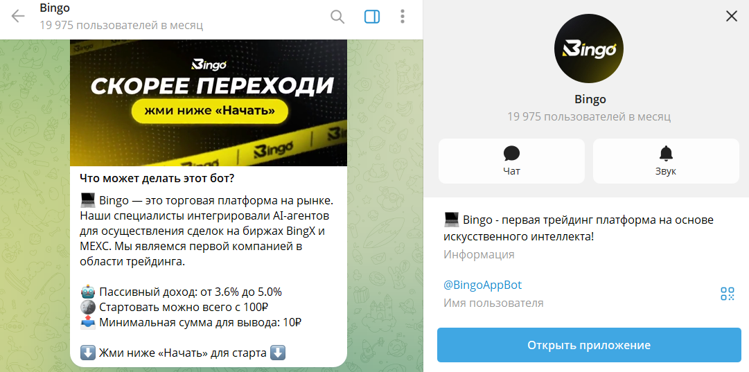 Описание телеграм-бота Bingo @BingoAppBot